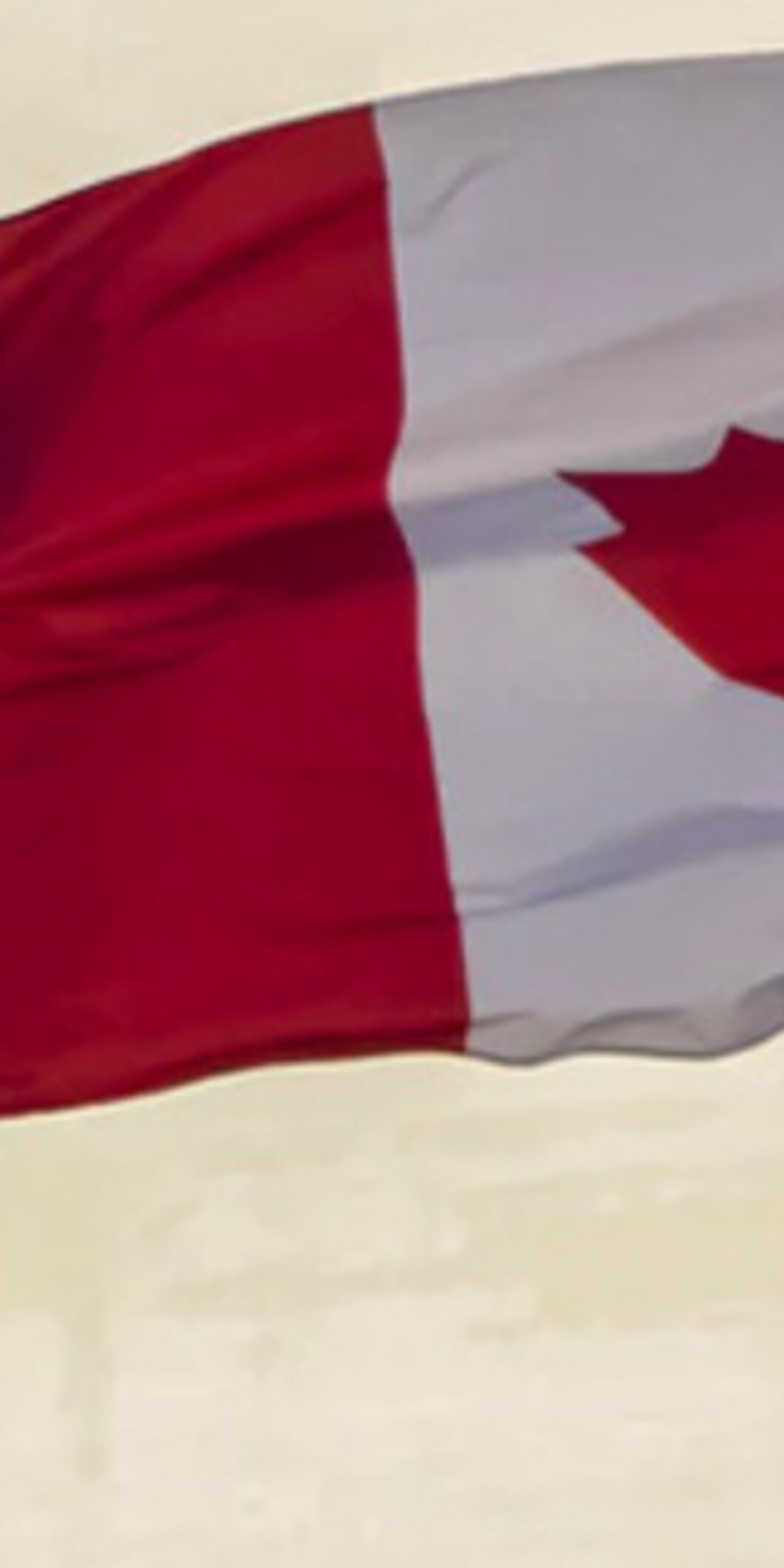 De Canadese vlag 