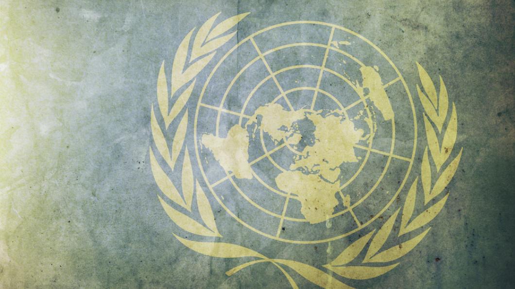 VN - UNIDO VN.jpg