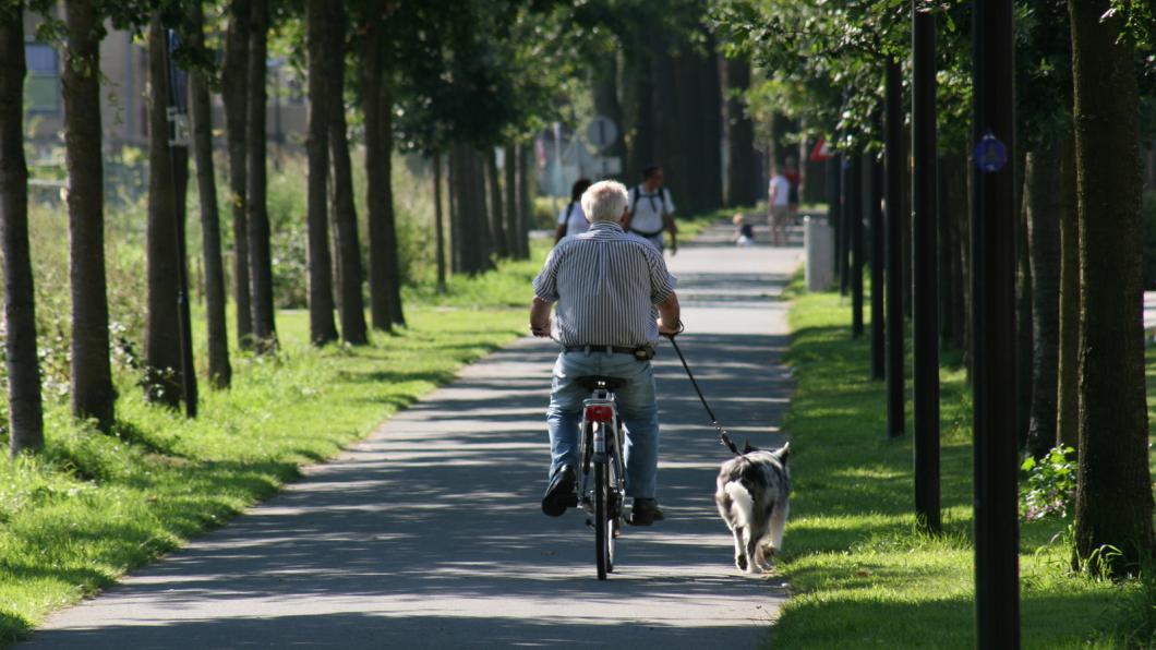 Man op fiets