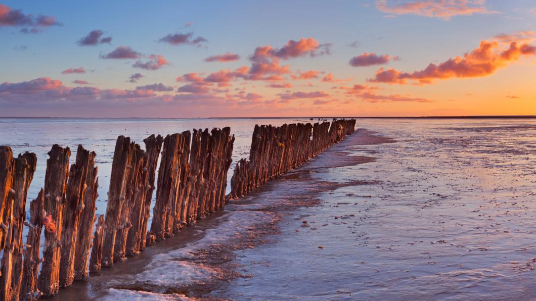 waddenzee-betaald.jpg