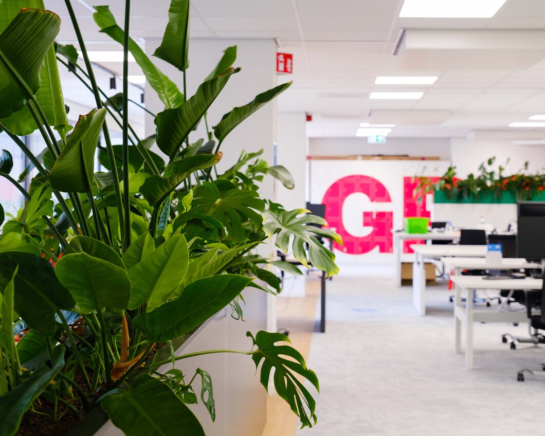 Foto van het landelijk bureau met veel planten links, bureaus rechts en het logo van GroenLinks op de achterwand.