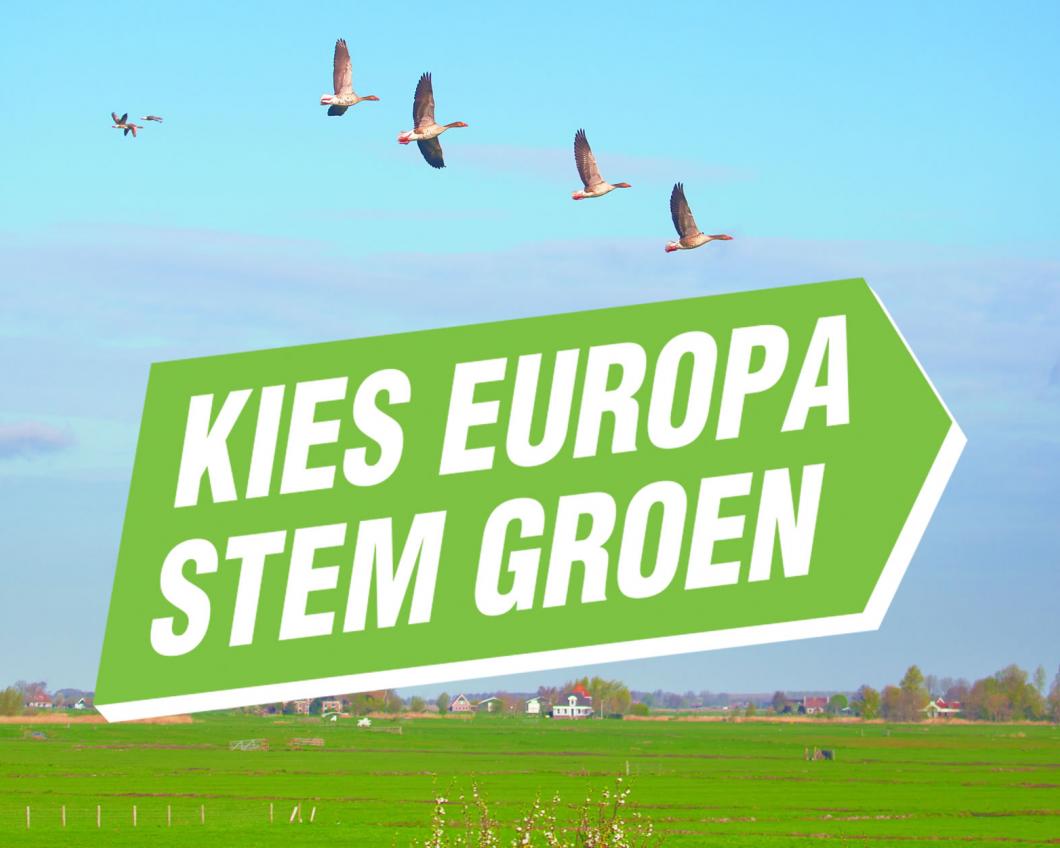 Kies Europa, stem Groen!