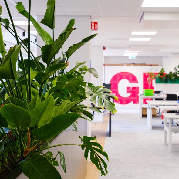 Foto van het landelijk bureau met veel planten links, bureaus rechts en het logo van GroenLinks op de achterwand.