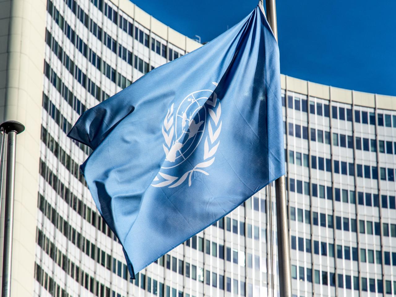 Vlag van de VN 